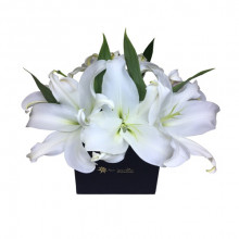 Liliums en Fina Caja Tu Jardin