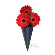 Cono de Gerberas