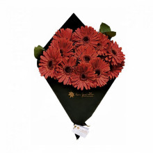 Cono de Gerberas por 12