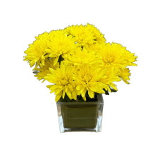 Cubo de Flores  Amarillas